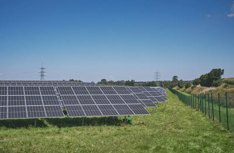 Panneaux solaires posés au sol sur une pelouse verte, sous un ciel bleu ensoleillé